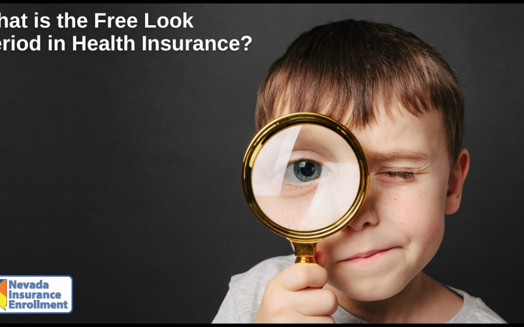 What is the Free Look Period in Health Insurance?