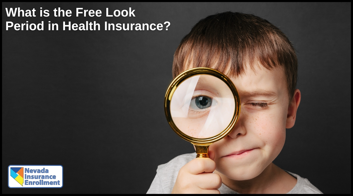 What is the Free Look Period in Health Insurance?